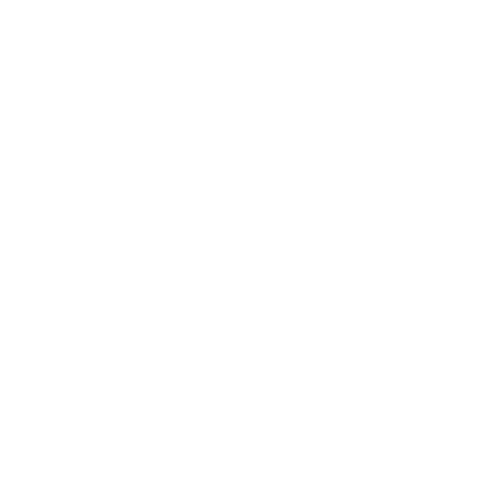 Air Force Falcons