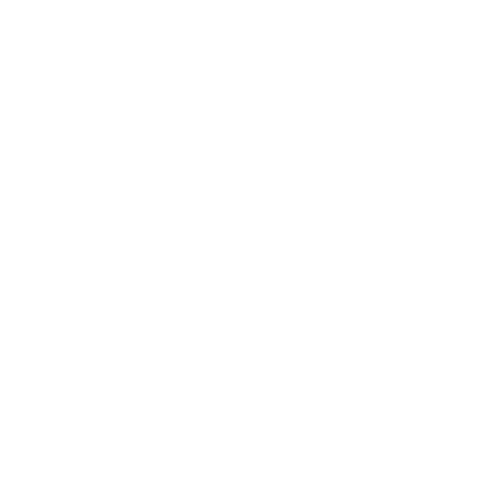 Rice Owls